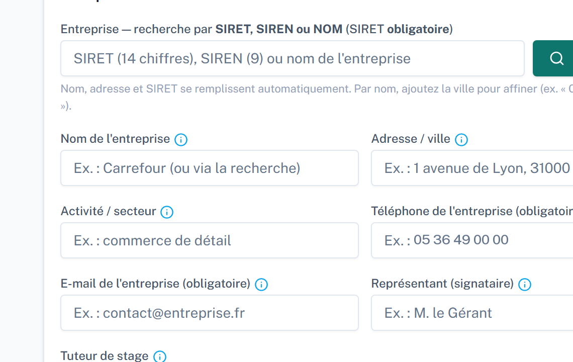 Bloc entreprise du formulaire